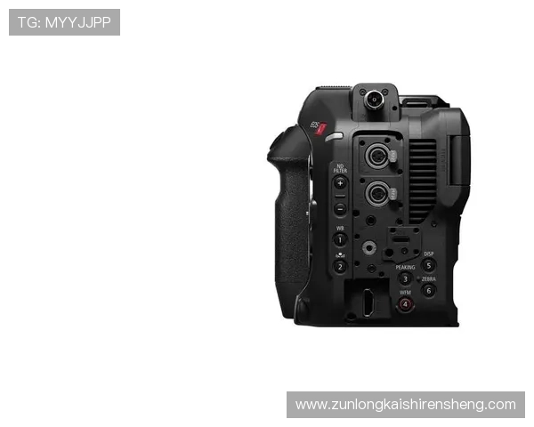 尊龙登录z6官图发布，畅享极致性能与美学设计的结合